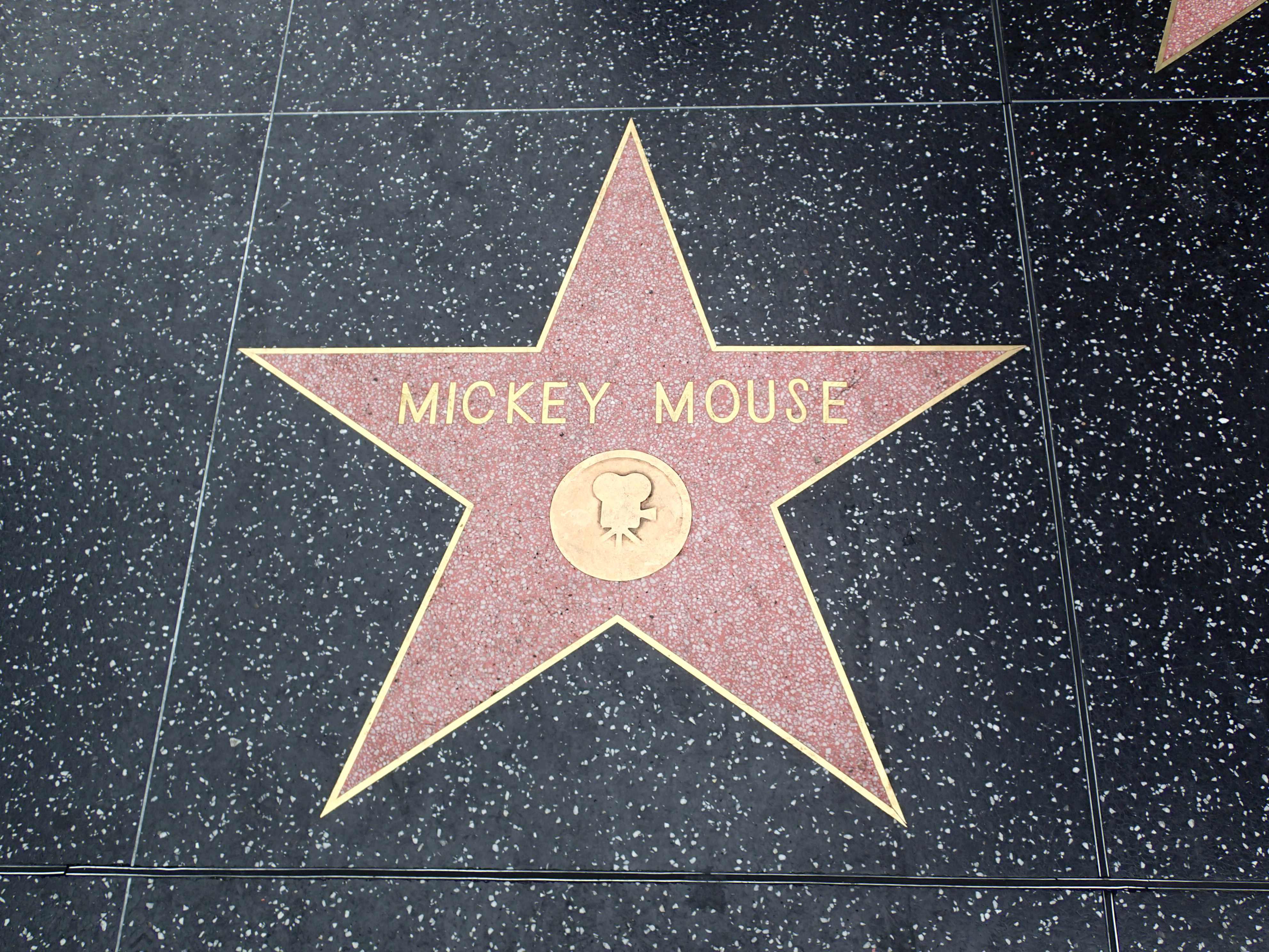 Mickey's Star