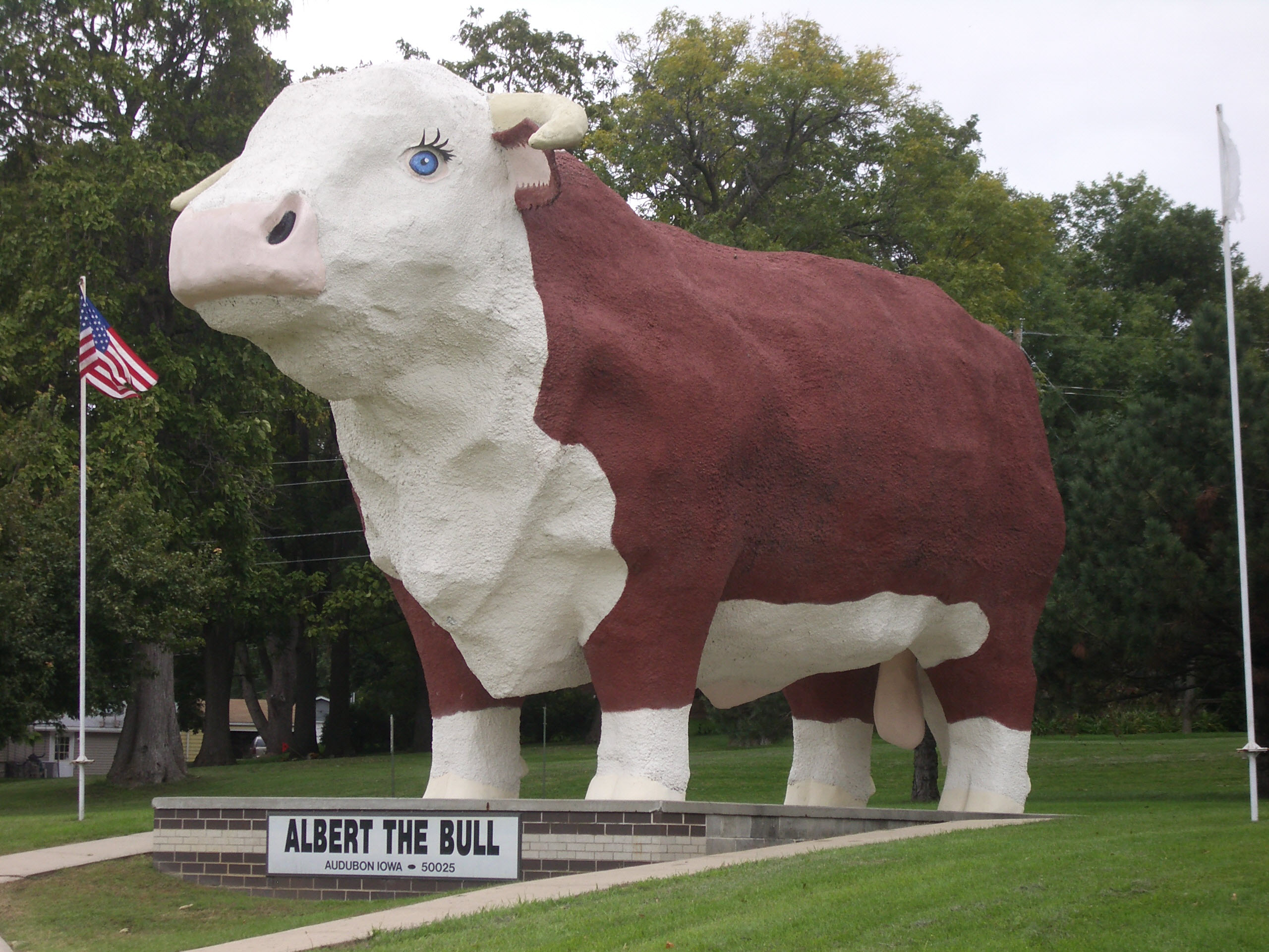 Albert the Bull